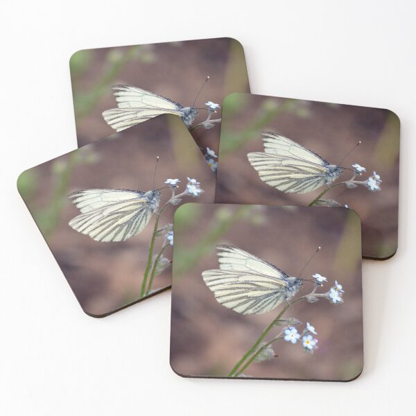 Item preview, GREEN VEINED WHITE BUTTERFLY designed and sold by AndyAchilleos.
