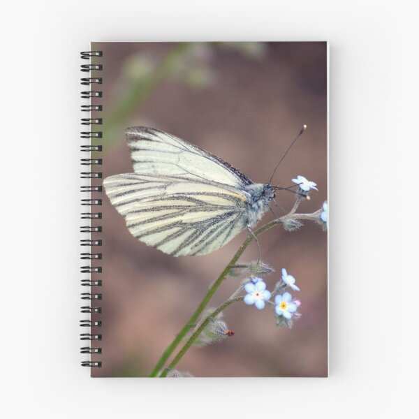 Item preview, GREEN VEINED WHITE BUTTERFLY designed and sold by AndyAchilleos.