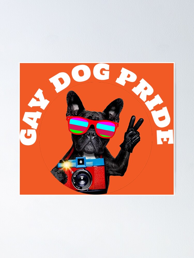 gay pride san diego pugs