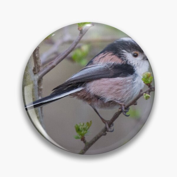 Item preview, LONG-TAILED TIT designed and sold by AndyAchilleos.