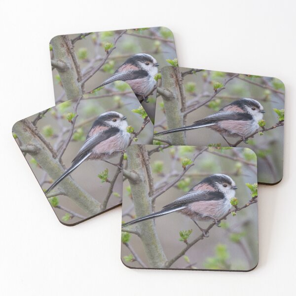 Item preview, LONG-TAILED TIT designed and sold by AndyAchilleos.