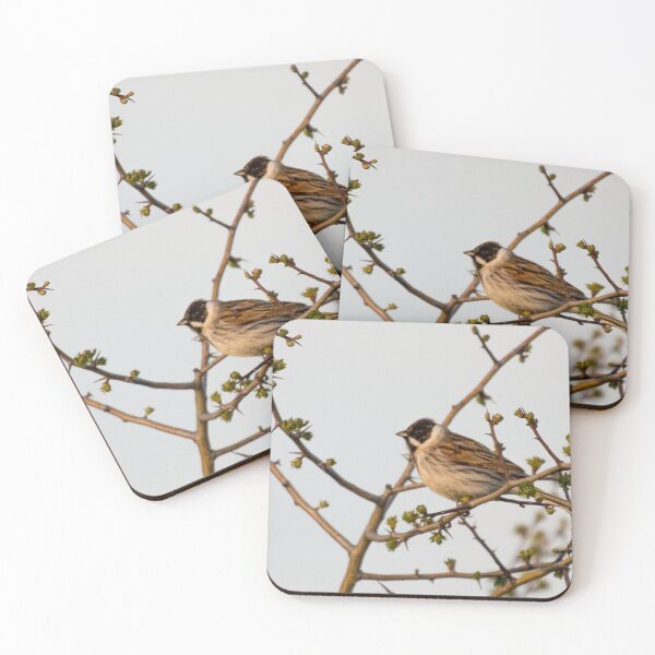 Item preview, MALE REED BUNTING designed and sold by AndyAchilleos.