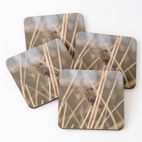 Item preview, FEMALE REED BUNTING designed and sold by AndyAchilleos.
