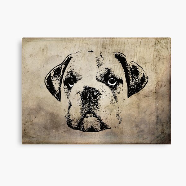 Artikel-Vorschau von English Bulldog, designt und verkauft von DoggyStyles.