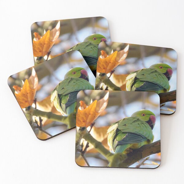 Item preview, RING NECKED PARAKEET designed and sold by AndyAchilleos.