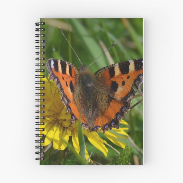 Item preview, SMALL TORTOISESHELL BUTTERFLY designed and sold by AndyAchilleos.