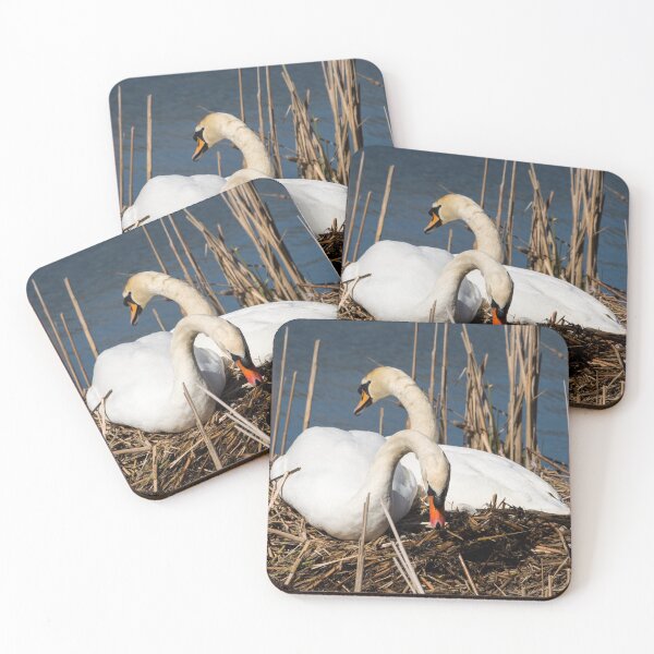 Item preview, MUTE SWANS NEST BUILDING designed and sold by AndyAchilleos.