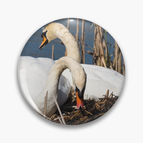 Item preview, MUTE SWANS NEST BUILDING designed and sold by AndyAchilleos.