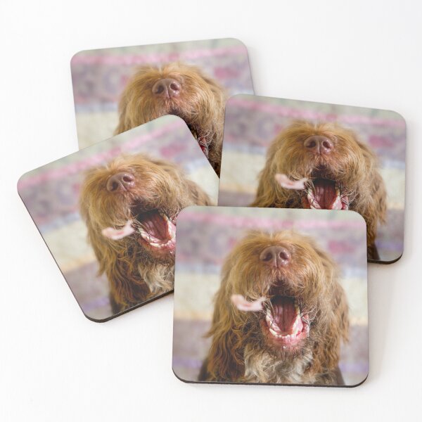 Item preview, Come to Papa Spinone treat time designed and sold by FOLK ART FUSION by heidiannemorris.