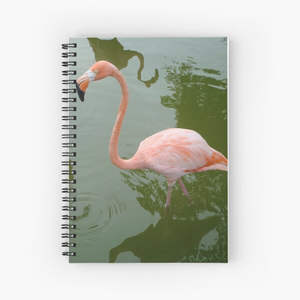 Flamingo Spiral Notebook