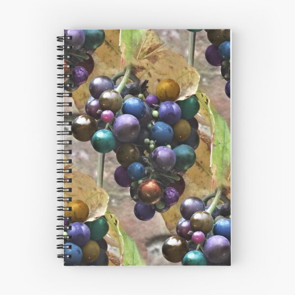 Item preview, Raisins pour le vin arc-en-ciel (pattern) designed and sold by Yampimon.