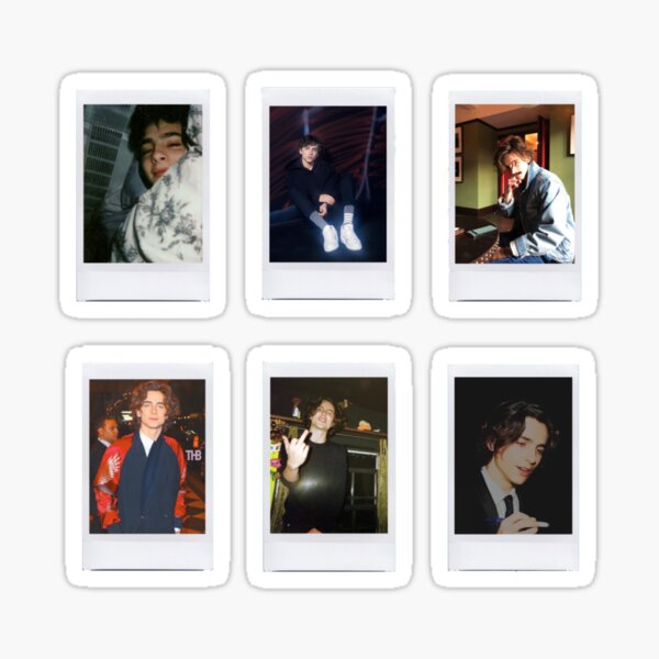 Timothée Chalamet mignons autocollants polaroid <3 Sticker