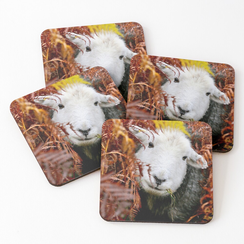 Herdy Gerdy ! Coasters (Set of 4)