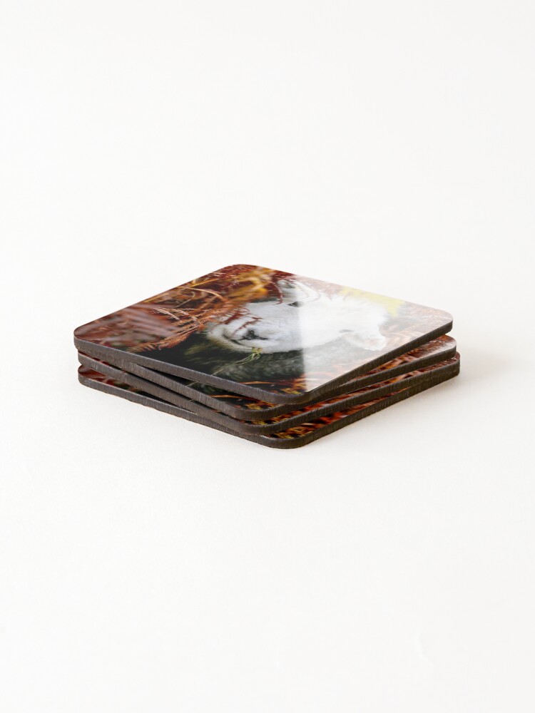 Alternate view of Herdy Gerdy ! Coasters (Set of 4)
