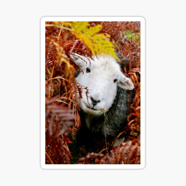 Herdy Gerdy ! Sticker