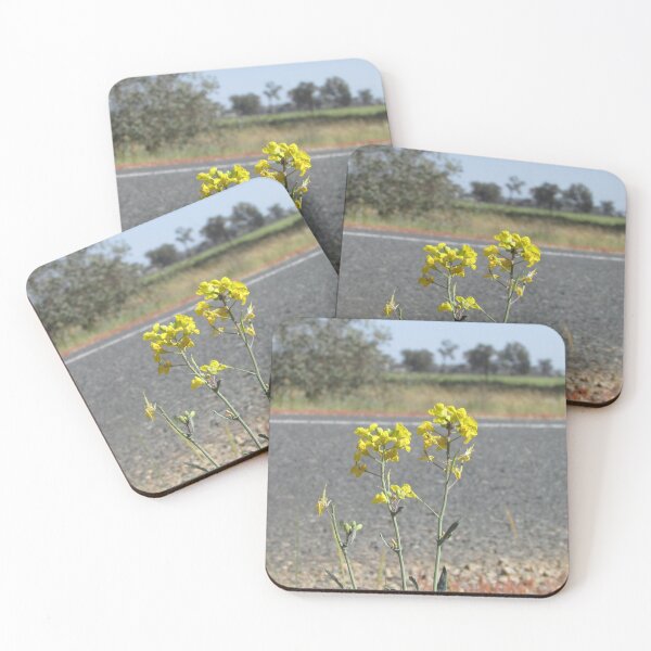 Item preview, Wild Canola on a road side designed and sold by Dee121.