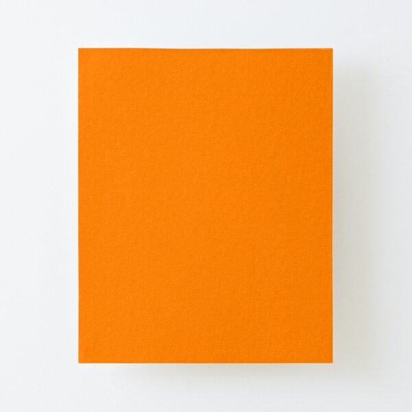 Bright Fluorescent Neon Orange Canvas Print by PodArtist