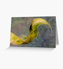 shyly stretching out into the world Greeting Card