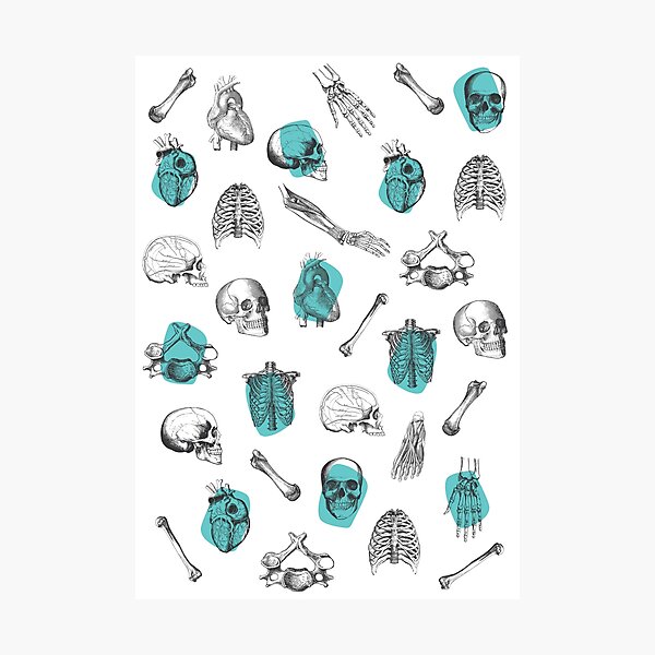 Anatomical Pattern • Vintage Illustration • Turquoise Photographic Print