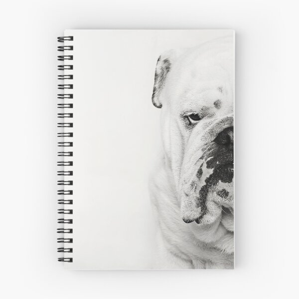 Artikelvorschau, Bruce die britische Bulldogge entworfen und verkauft von Peta Santoro.