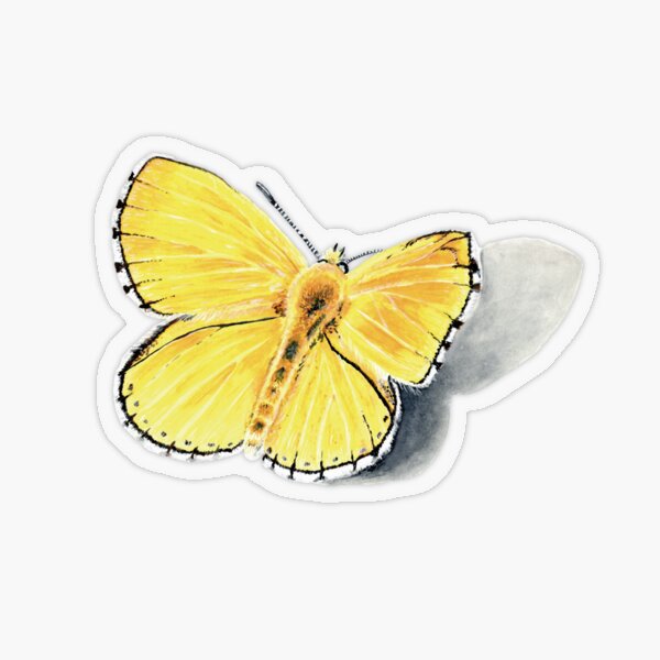 Orange popsicle butterfly with dropshadow Transparent Sticker