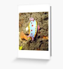 NUDIBRANCH Greeting Card