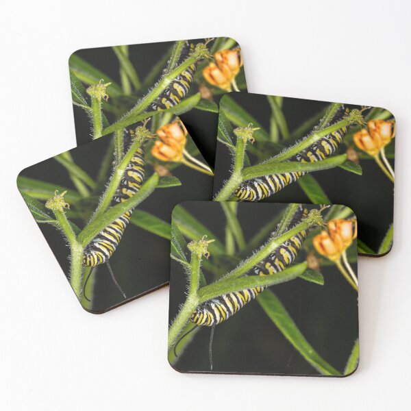 Item preview, Monarch Caterpillar 2 designed and sold by Robert Alsop.