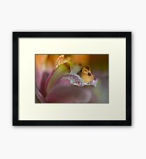 Precious Framed Print