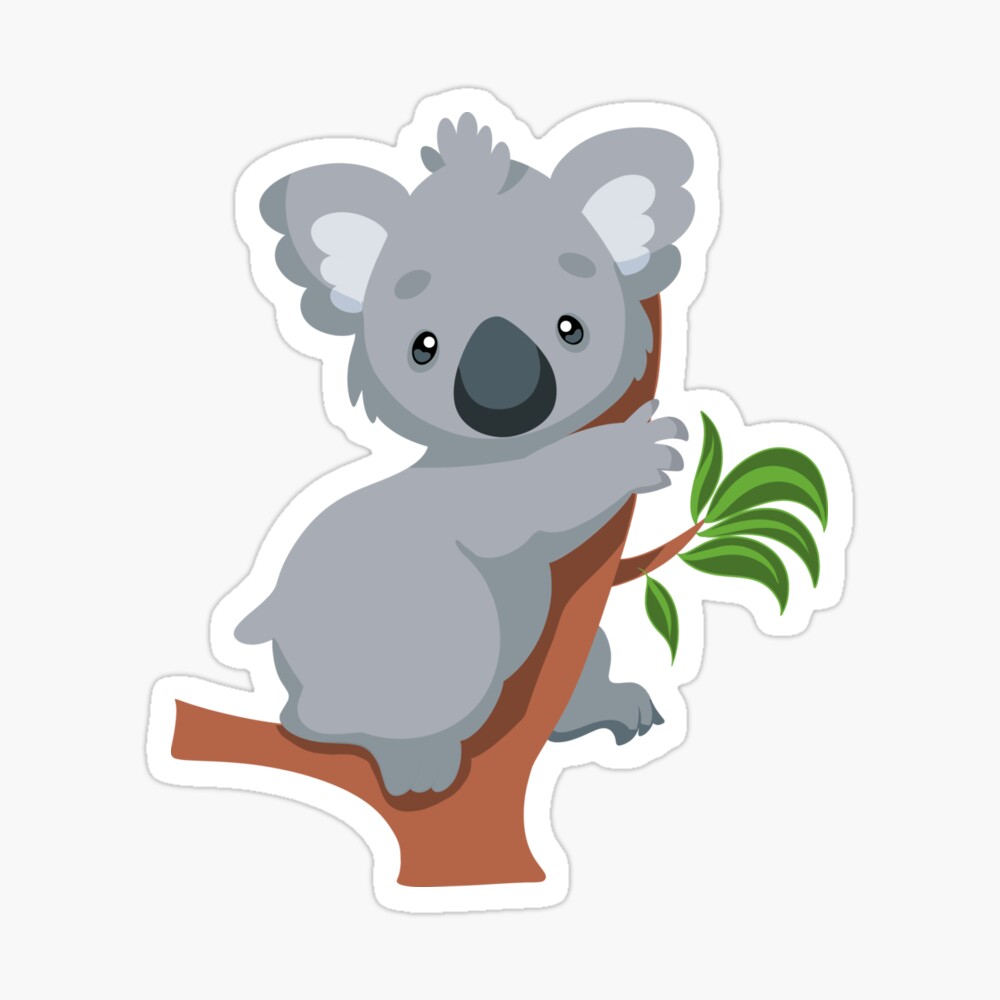 Koala Koala