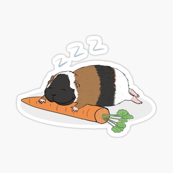 Diddle schläft auf einer Karotte Sticker