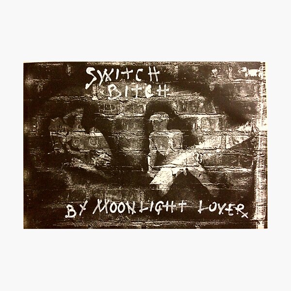 Switch Bitch Photographic Print