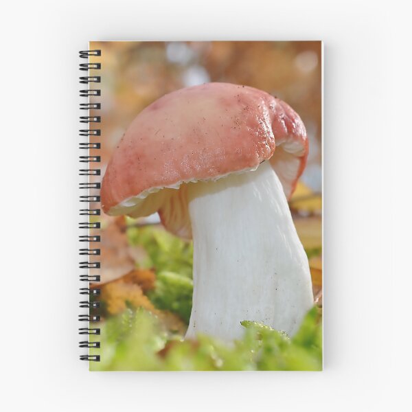 Item preview, Beechwood Sickener /Russula Nobilis designed and sold by relayer51.