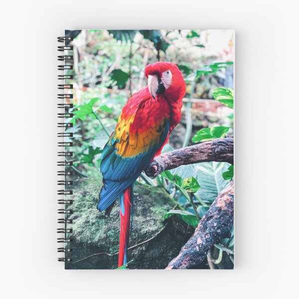 Item preview, Mexico - Red Macaw designed and sold by themayyoung.