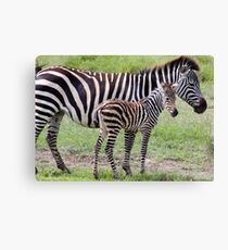 Baby Stripes Leinwanddruck