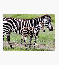 Baby Stripes Fotodruck