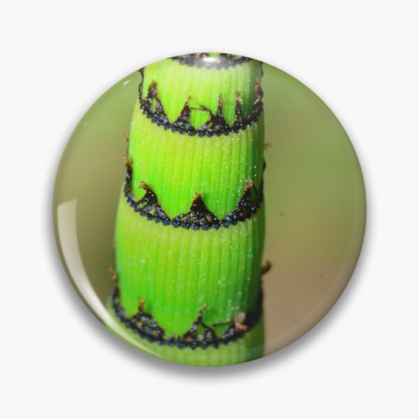 Item preview, Leaning Tower Of Rough Horsetail designed and sold by LisaWootenPhoto.