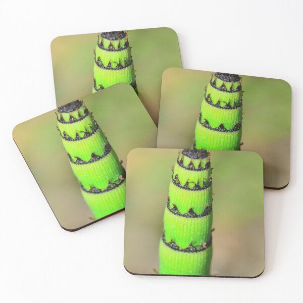 Item preview, Leaning Tower Of Rough Horsetail designed and sold by LisaWootenPhoto.
