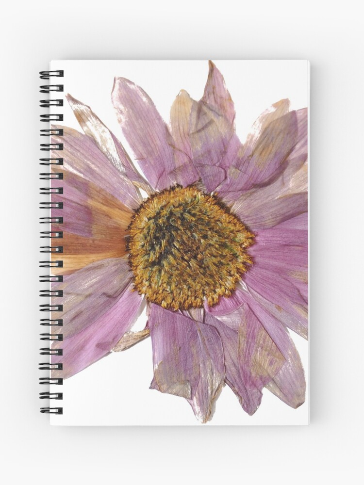 Cuaderno de espiral «flor seca morada» de MorningDewArt | Redbubble