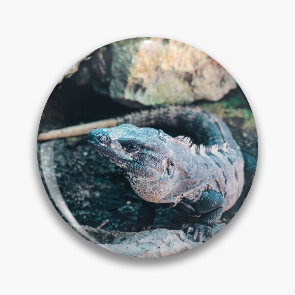 Item preview, Mexico - Iguana designed and sold by themayyoung.