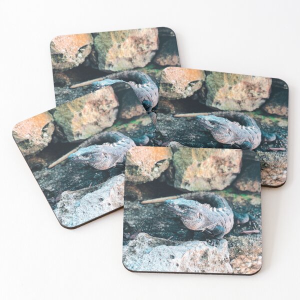 Item preview, Mexico - Iguana designed and sold by themayyoung.
