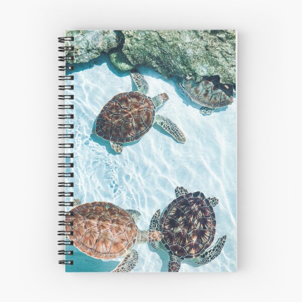 Item preview, Mexico - Turtle designed and sold by themayyoung.