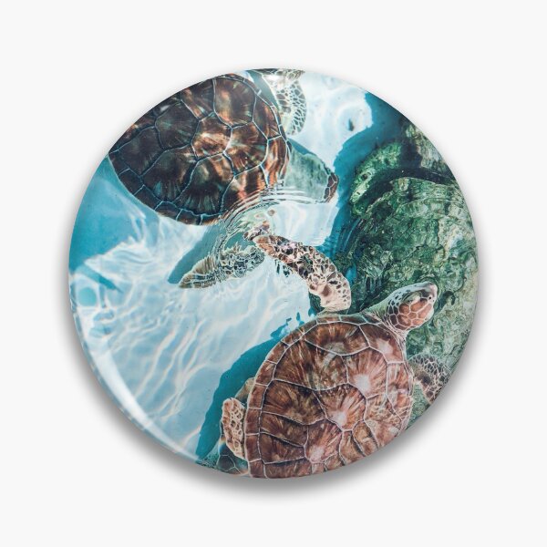Item preview, Mexico - Turtles designed and sold by themayyoung.