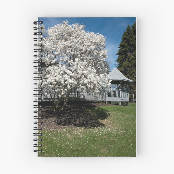 Item preview, Spring has Sprung designed and sold by wolftinz.