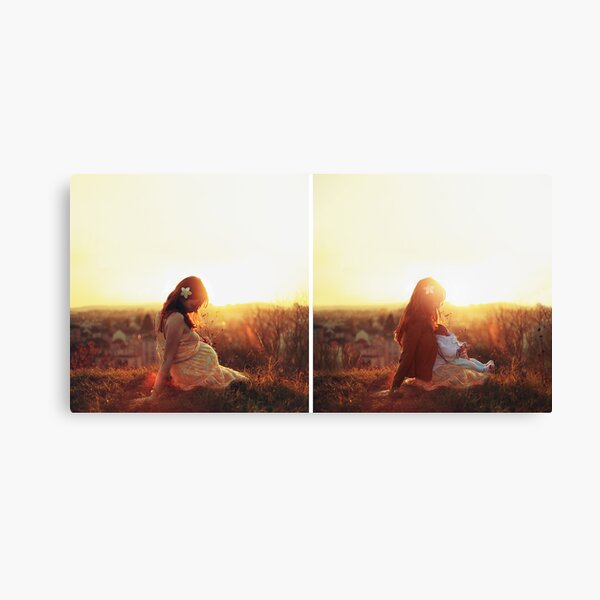 The harmony Canvas Print