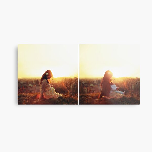 The harmony Metal Print