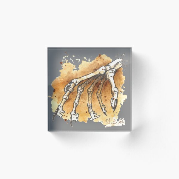 Skeleton Keys Acrylic Block