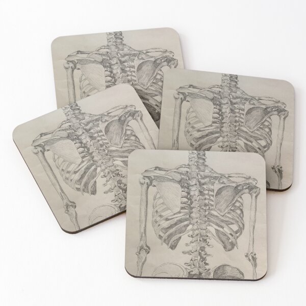 Item preview, Skeleton Torso Posterior View designed and sold by Michelle Rutkowski.