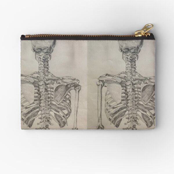 Skeleton Torso Posterior View Zipper Pouch