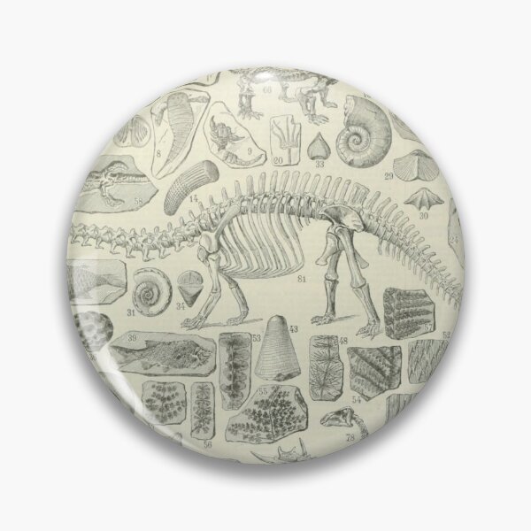 Item preview, Fossil Chart designed and sold by BlueSpecsStudio.
