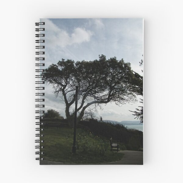 Item preview, Winding Path Leading To The Sea At Lyme, Dorset, UK designed and sold by lynn carter.